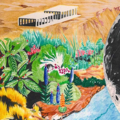 Wallis Bird – Life Is Long