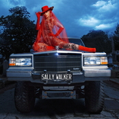 Sally Walker cover
