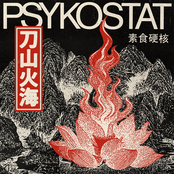 Psykostat