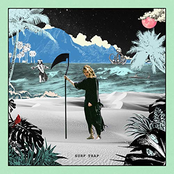 Surf Trap cover