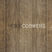 Home / Cobwebs