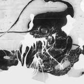 HVMIX029