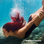 Radical Optimism (Extended Versions) cover