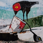 The Camp cover