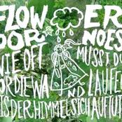 Flowerpornoes – Wie oft musst du vor die Wand laufen bis der Himmel sich auftut?