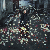 Mother cover