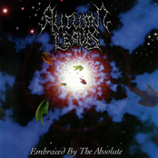 Autumn Leaves – Embraced By The Absolute