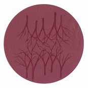 the fieldtriqp reconstructions