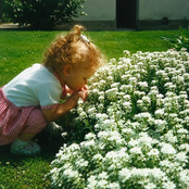 Theology of Beauty: Spring