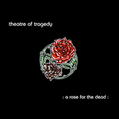 A Rose for the Dead cover