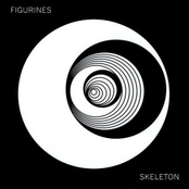 Skeleton