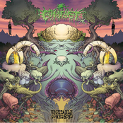 Vegetable Goregrind (Discography 2008-2013)