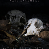 Naturaleza Muerta I