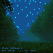 The Night The Stars Flew