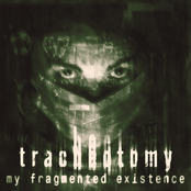 My Fragmented Existence