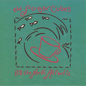 1992-04-13: The Sugarcubes Hit The North Atlantic: Toronto, ON, Canada cover