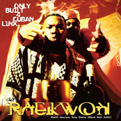 Only Built 4 Cuban Linx