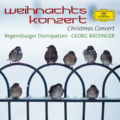 Regensburger Domspatzen – Regensburger Domspatzen - A Christmas Concert