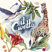 Il Civetto – Il Civetto