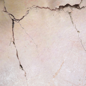 shibboleth
