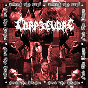 Feed The Plague