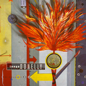 Sliding & Diving cover