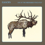Live At The Milwaukee Psych Fest