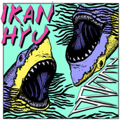IKAN HYU – Zebra