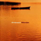 Wonder