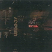 secam