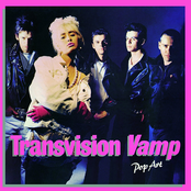 Pop Art (Re-Presents) cover