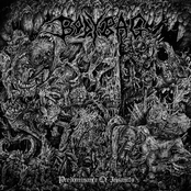 Predominance Of Insanity