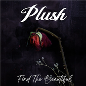 Find The Beautiful