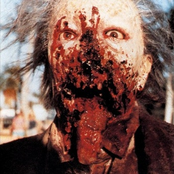 The Outbreak