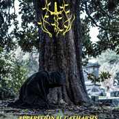 Apparitional Catharsis