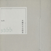 木漏れ日の消息
