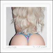 Do What U Want cover