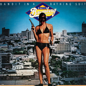 Bandit in a Bathing Suit