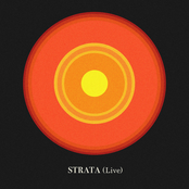STRATA (Live)