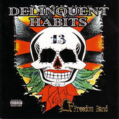 Delinquent Habits – Freedom Band