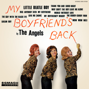 My Boyfriend's Back