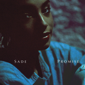 Promise cover