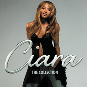 The Collection cover