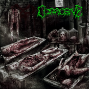 Death as a Process