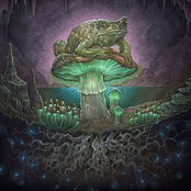Mycelium Network
