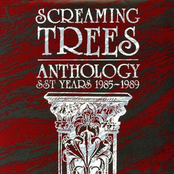 Anthology: SST Years 1985-1989