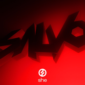 Salvo