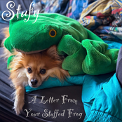A Letter From Your Stuffed Frog