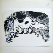7 song ep