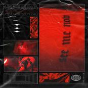 Sierra Veins – See Me Now